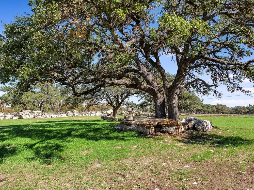 788 Clarence Jacoby Road Fredericksburg, TX 78624