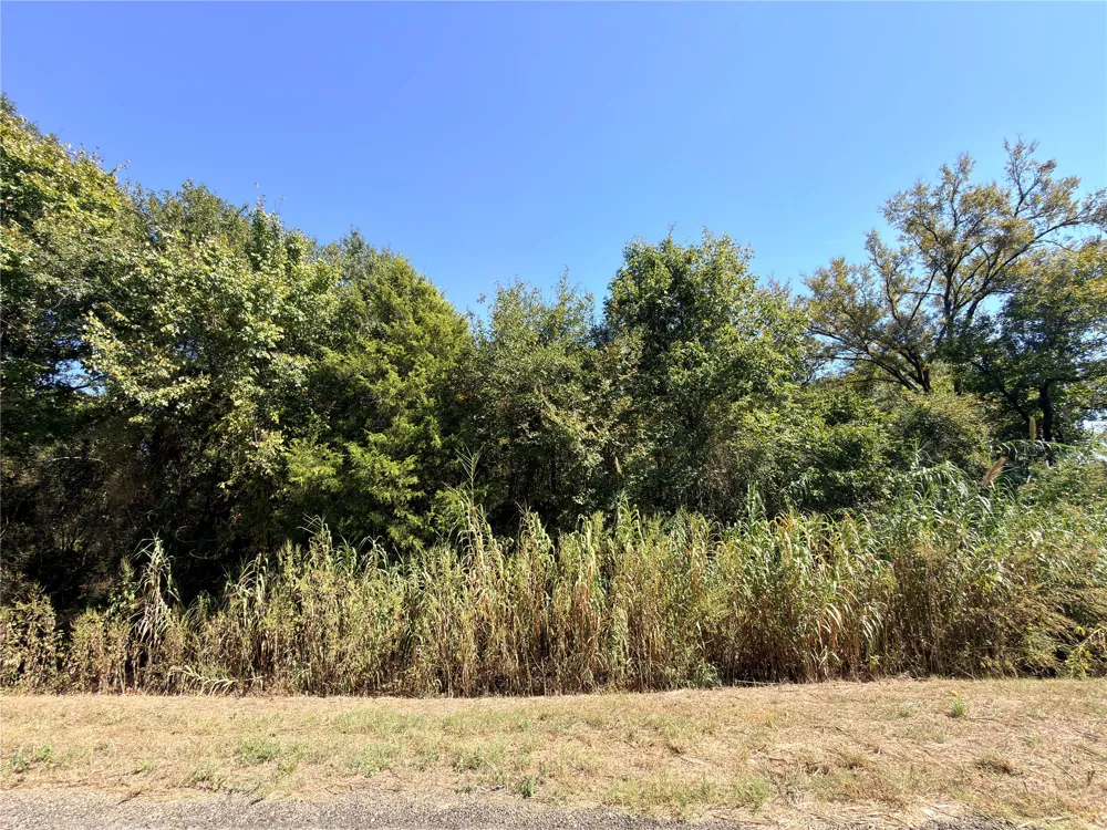 7 S State Highway 75 Fairfield, TX 75840