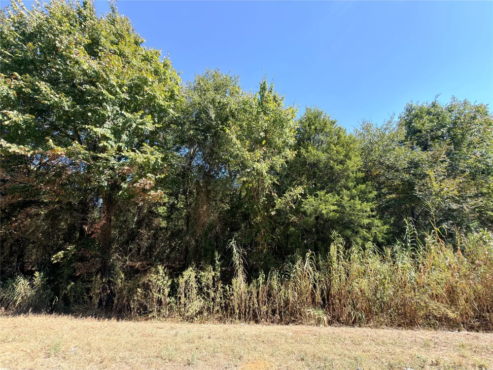 7 S State Highway 75 Fairfield, TX 75840