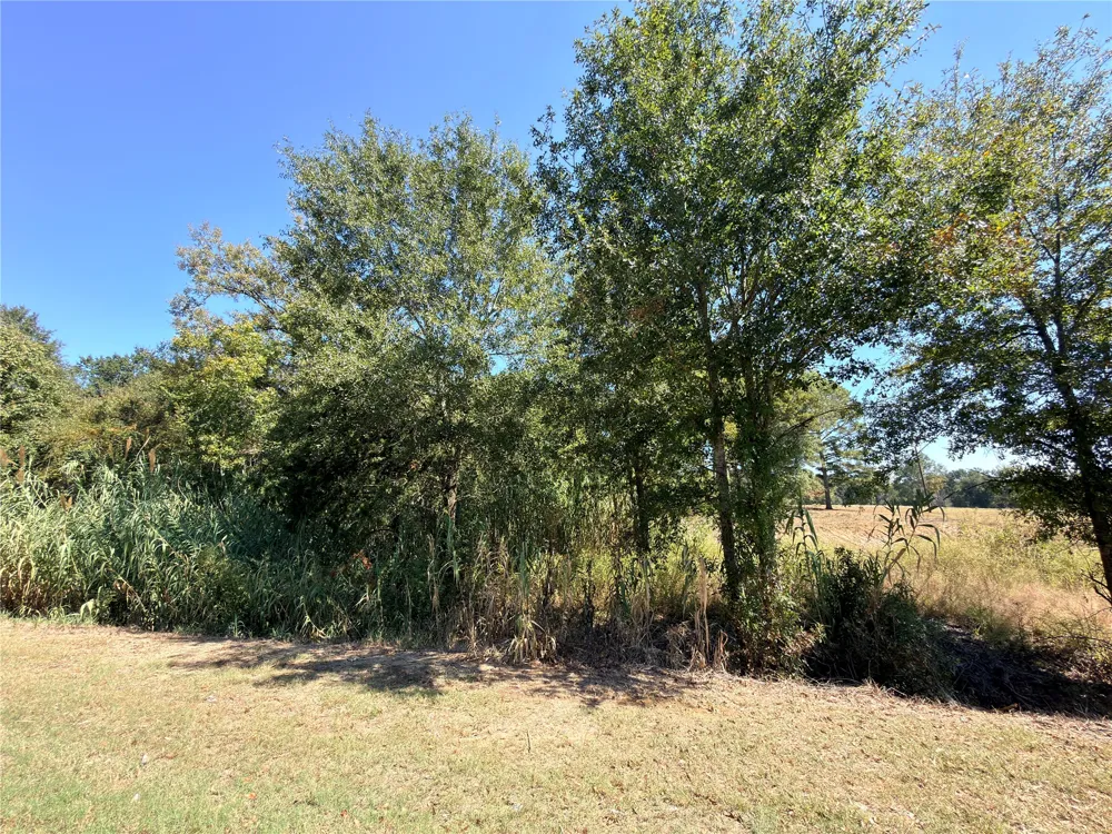 7 S State Highway 75 Fairfield, TX 75840
