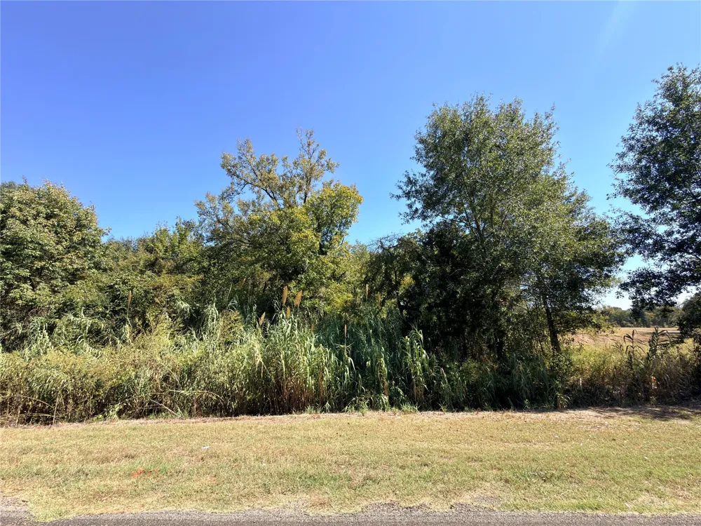 7 S State Highway 75 Fairfield, TX 75840