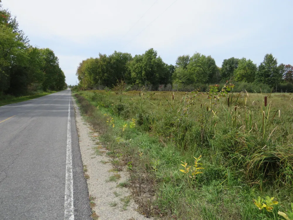 VL 17 Mile Road Marion, MI 49665