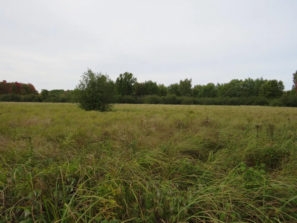 VL 17 Mile Road Marion, MI 49665
