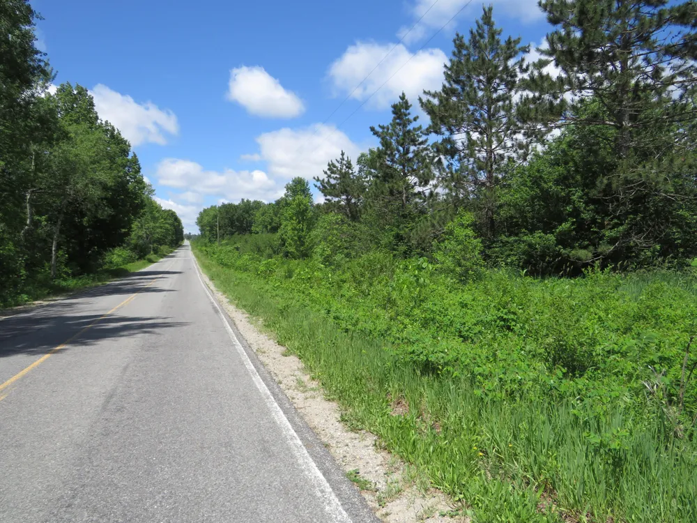 VL 17 Mile Road Marion, MI 49665