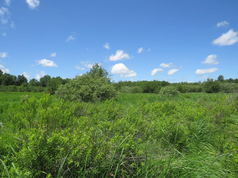 VL 17 Mile Road Marion, MI 49665