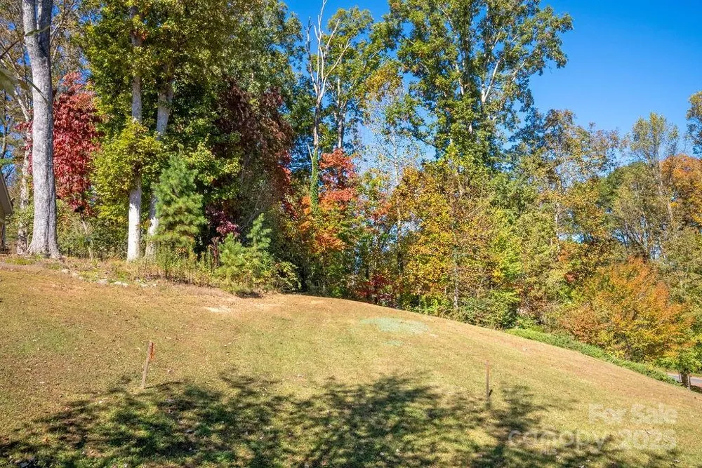 lot 1 Cadence Circle Brevard, NC 28712