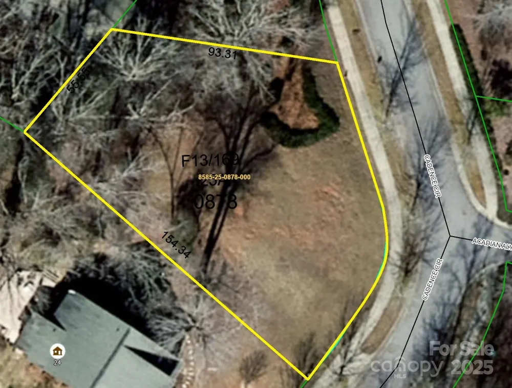 lot 1 Cadence Circle Brevard, NC 28712