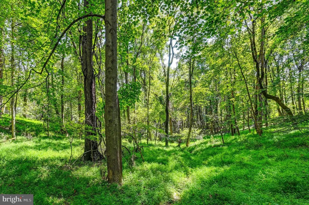 14490 WESTERN ROAD #2 Sparks Glencoe, MD 21152