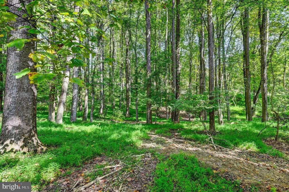 14490 WESTERN ROAD #2 Sparks Glencoe, MD 21152