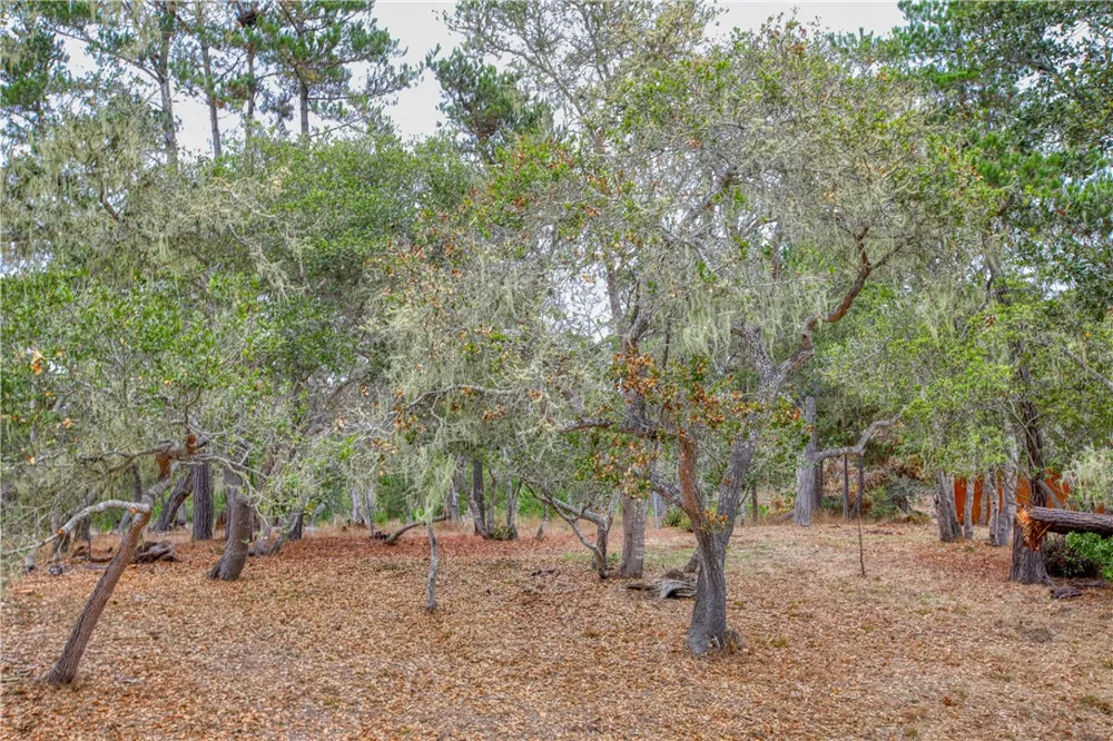 1021 Hillcrest Cambria, CA 93428