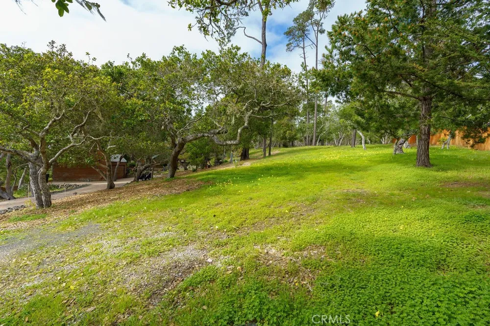 1021 Hillcrest Cambria, CA 93428