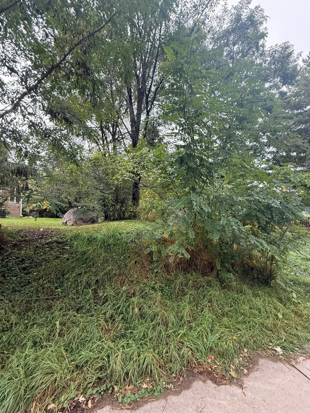 1425 Evans Avenue South Saint Paul, MN 55075