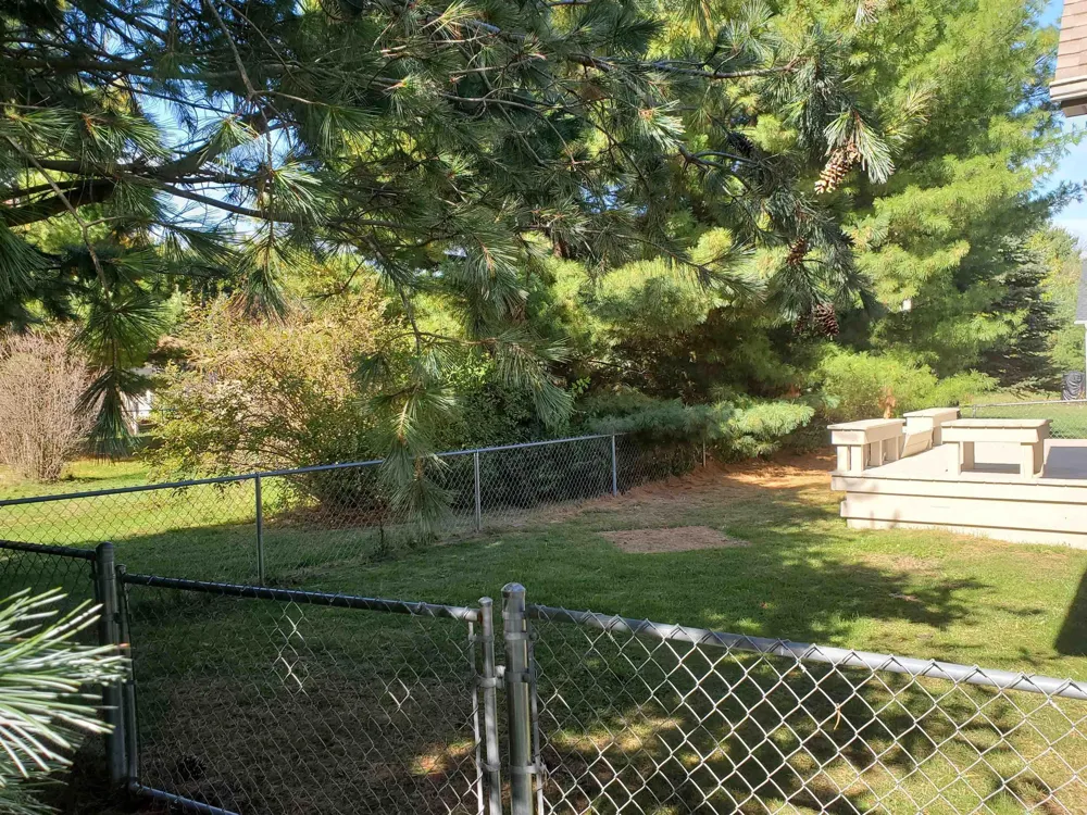 35 Austin Drive Sanilac Township, MI 48469