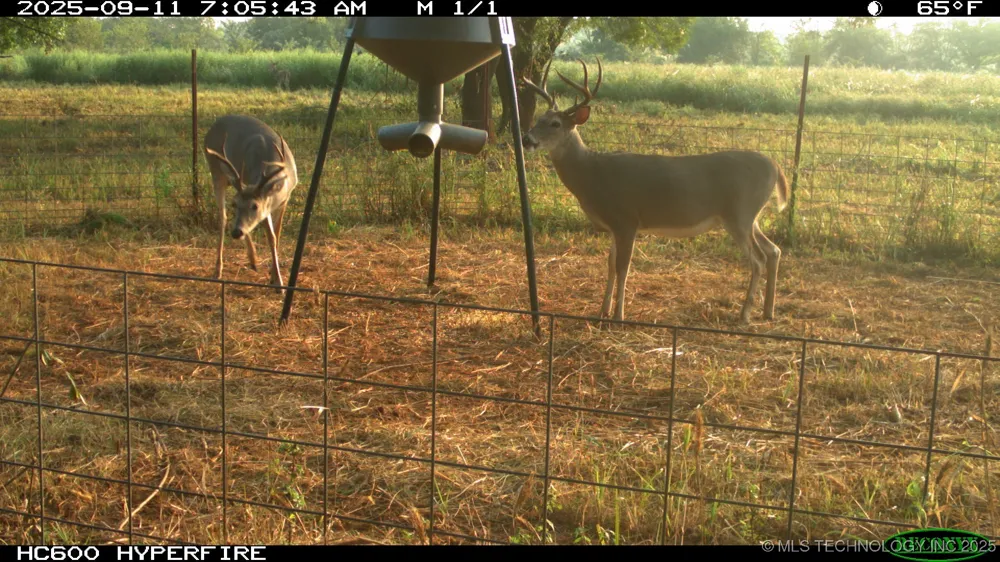 E 930 ROAD Chandler, OK 74834