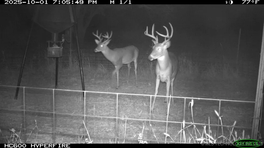 E 930 ROAD Chandler, OK 74834