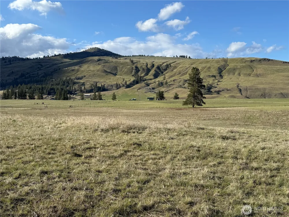 17 Sorona Way E Tonasket, WA 98855