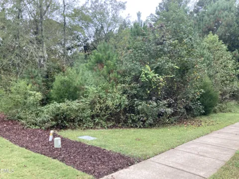 217 Cabin Creek