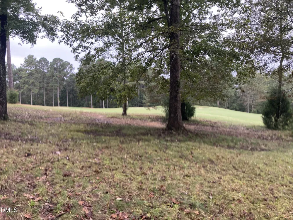 217 Cabin Creek Pittsboro, NC 27312