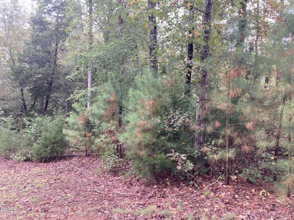 217 Cabin Creek Pittsboro, NC 27312