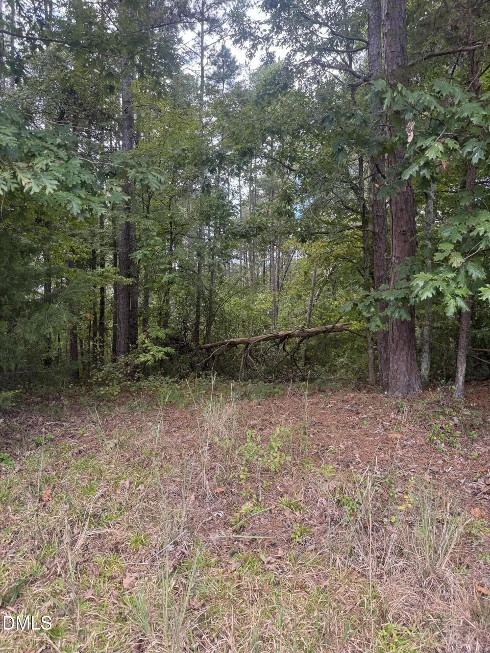 00 New Mayo Drive Drive Roxboro, NC 27574