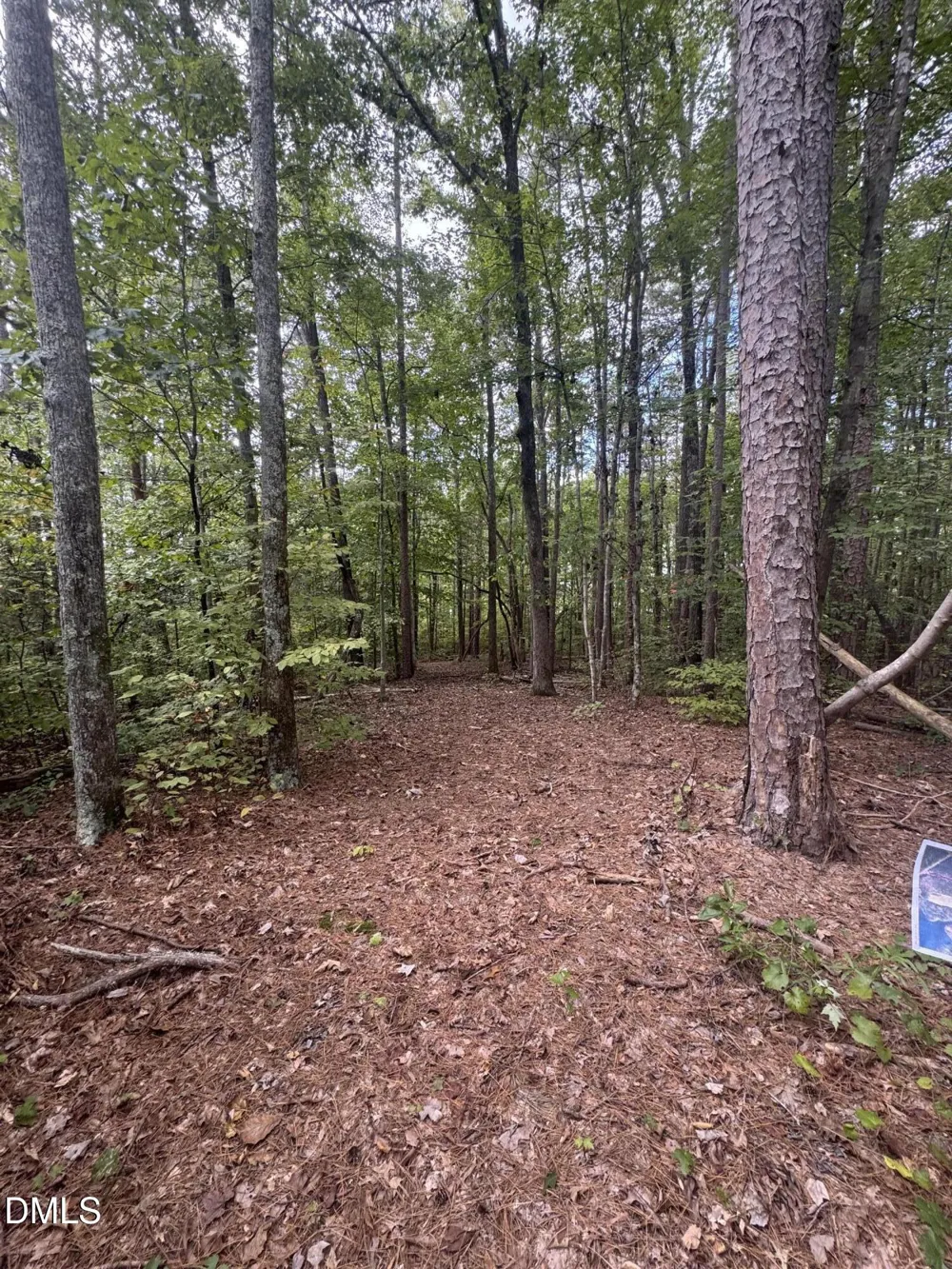 00 New Mayo Drive Drive Roxboro, NC 27574