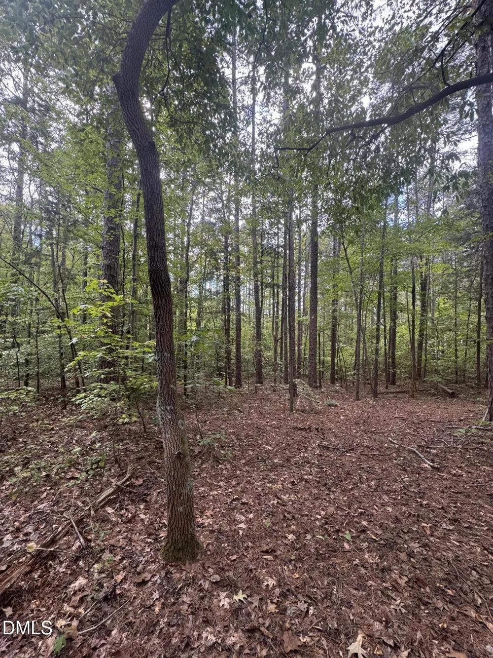 00 New Mayo Drive Drive Roxboro, NC 27574