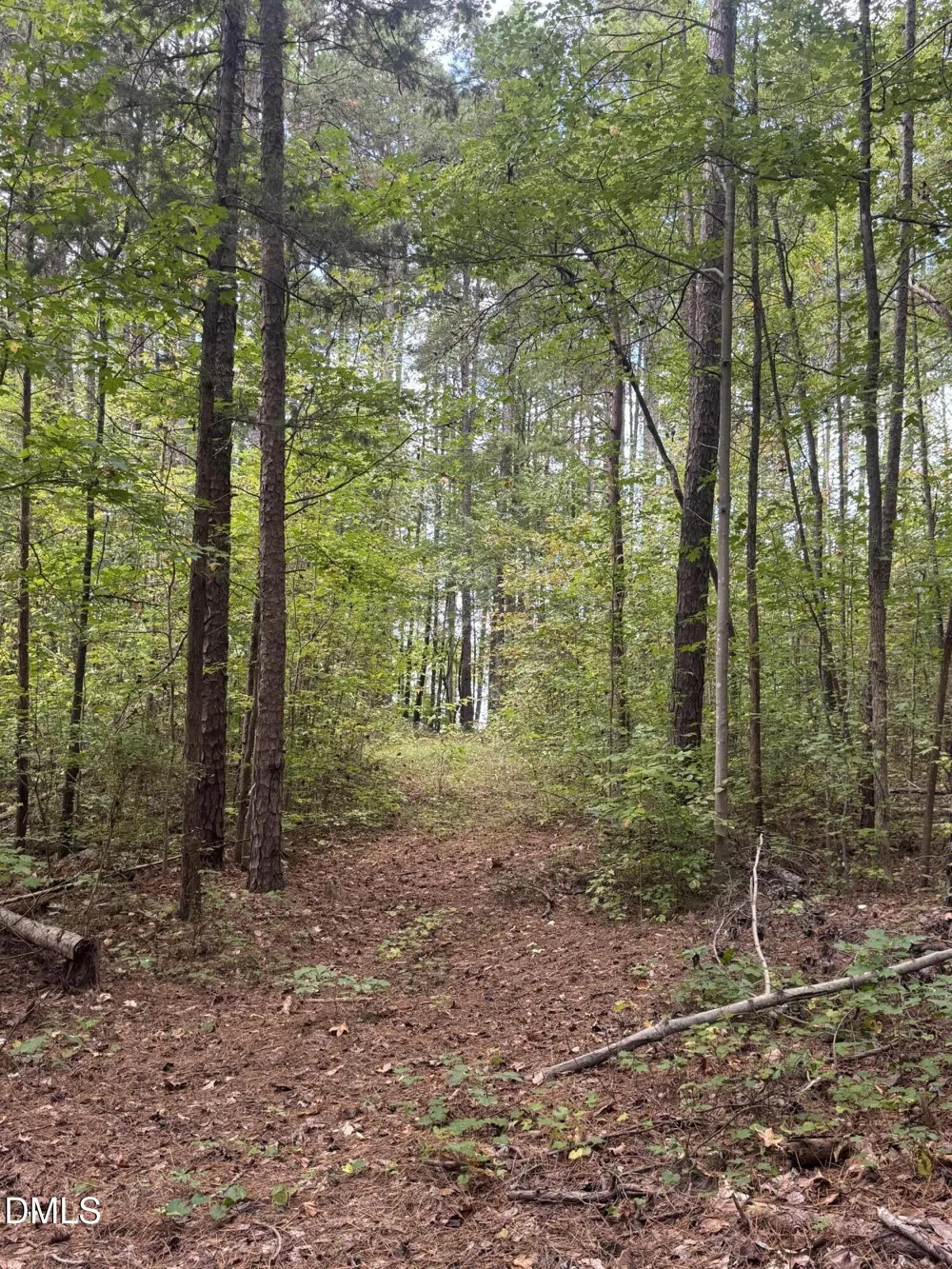 00 New Mayo Drive Drive Roxboro, NC 27574