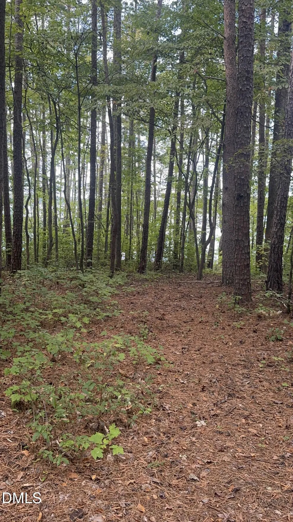 00 New Mayo Drive Drive Roxboro, NC 27574
