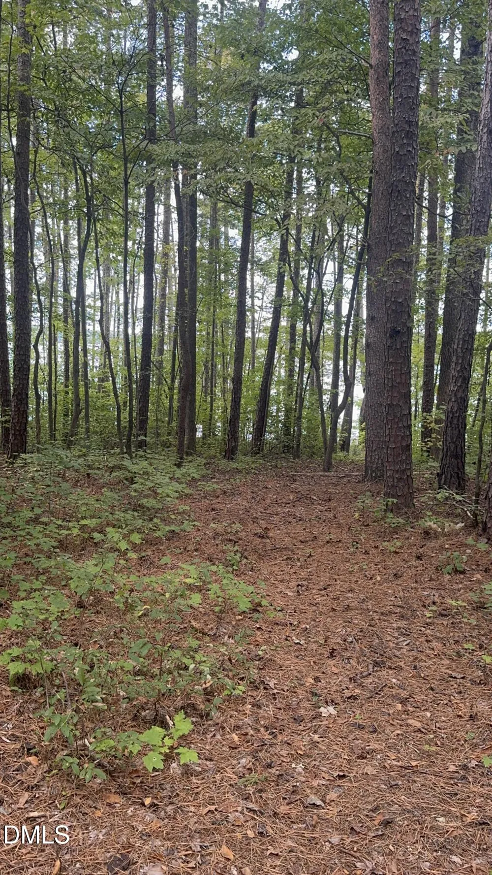 00 New Mayo Drive Drive Roxboro, NC 27574