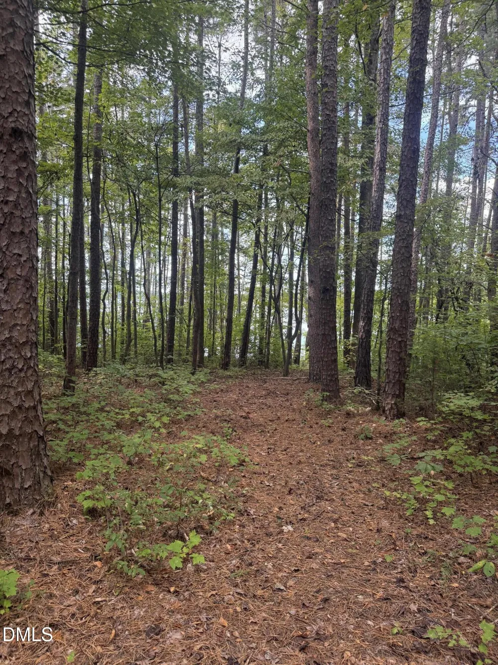 00 New Mayo Drive Drive Roxboro, NC 27574