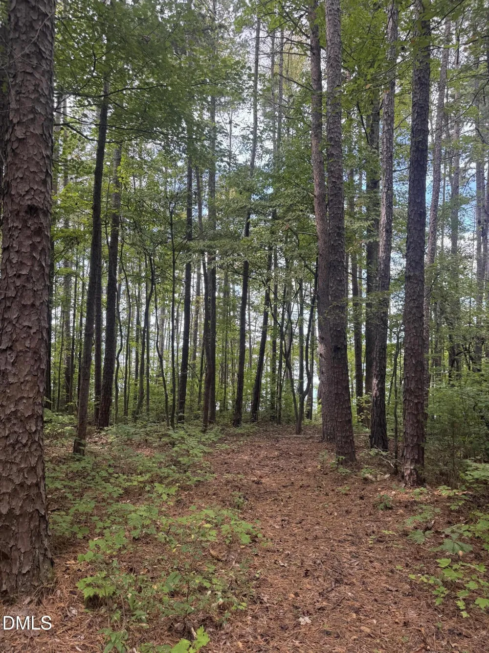 00 New Mayo Drive Drive Roxboro, NC 27574