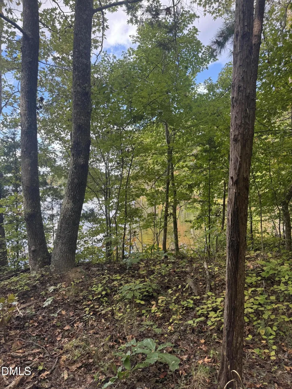 00 New Mayo Drive Drive Roxboro, NC 27574