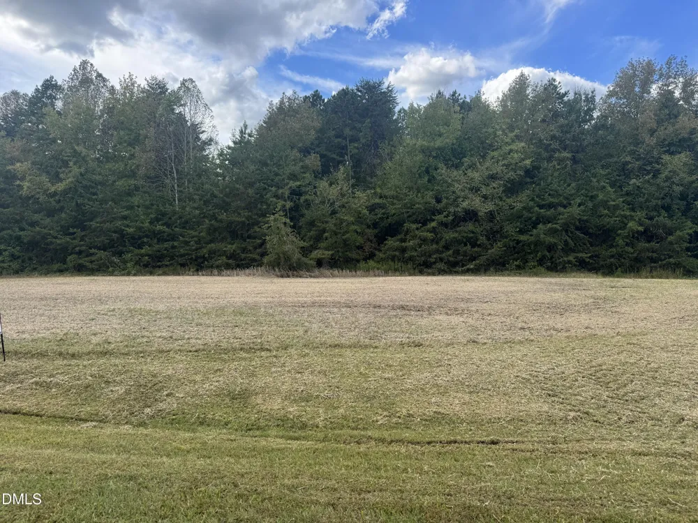 00 New Mayo Drive Drive Roxboro, NC 27574
