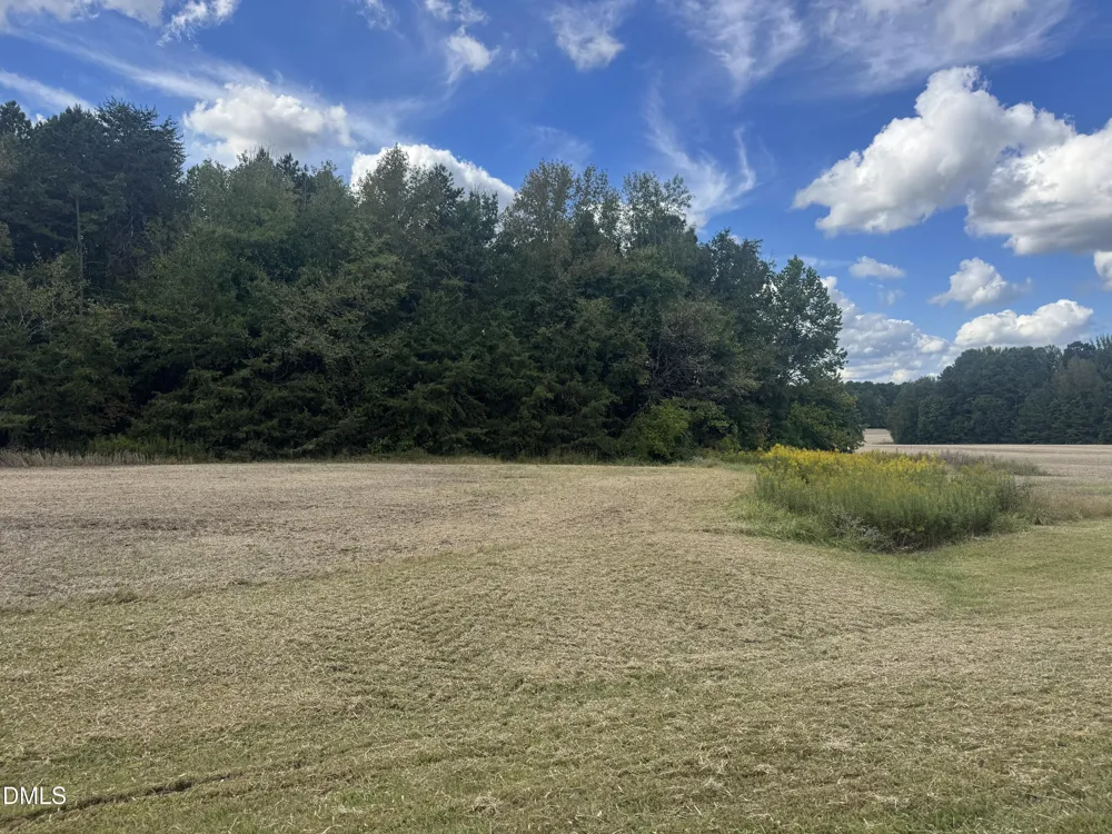 00 New Mayo Drive Drive Roxboro, NC 27574