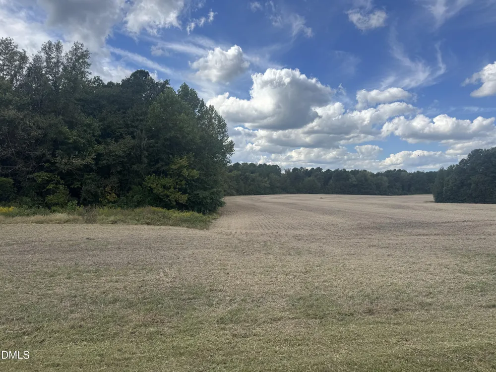 00 New Mayo Drive Drive Roxboro, NC 27574