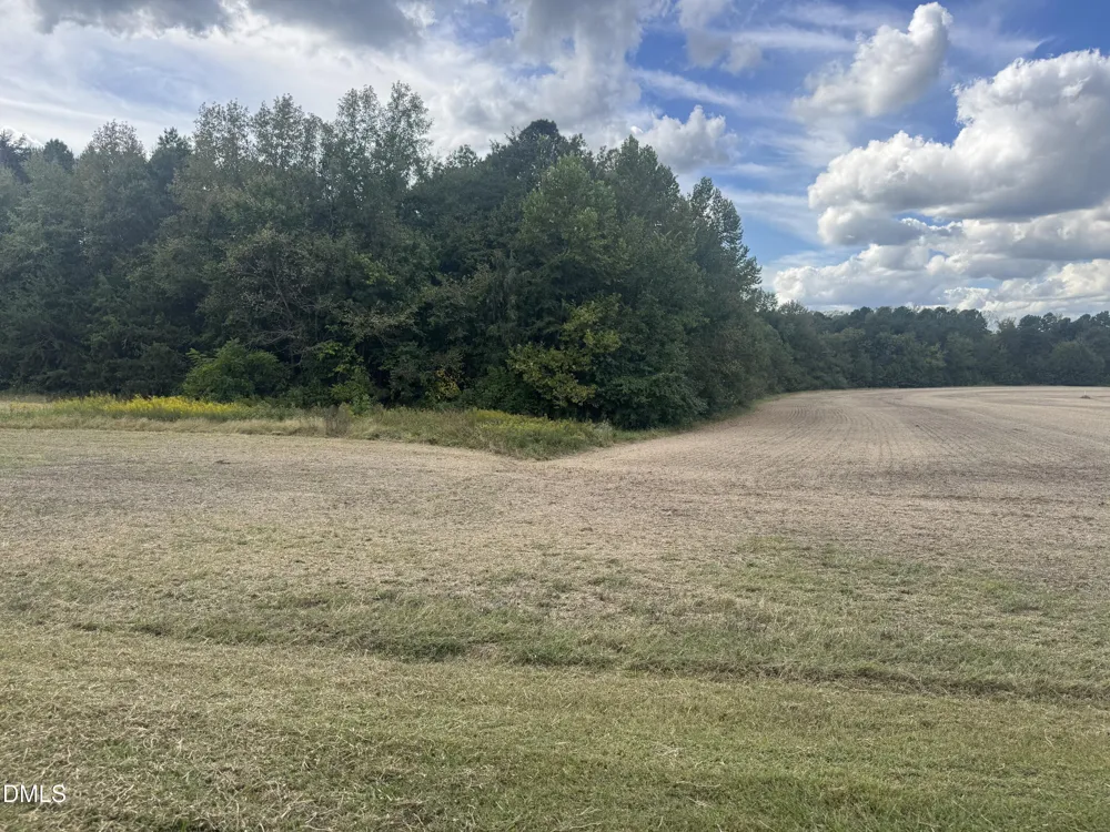 00 New Mayo Drive Drive Roxboro, NC 27574