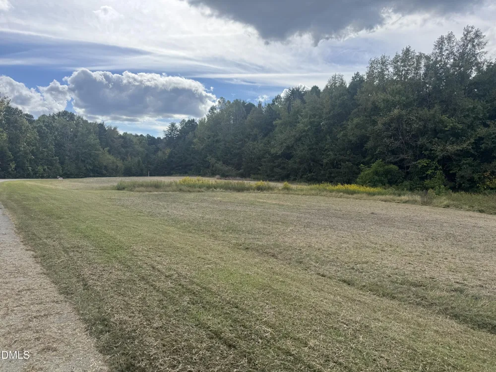 00 New Mayo Drive Drive Roxboro, NC 27574