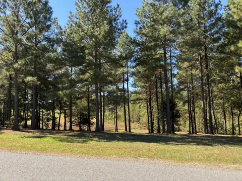 241 Pappy Road