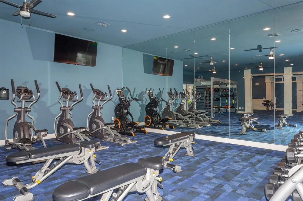 19100 N Glenwest Drive #236 Friendswood, TX 77546