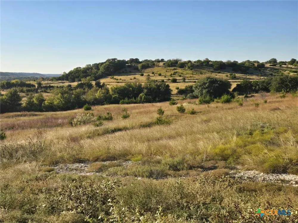 229 Grand Canyon Drive Oglesby, TX 76561