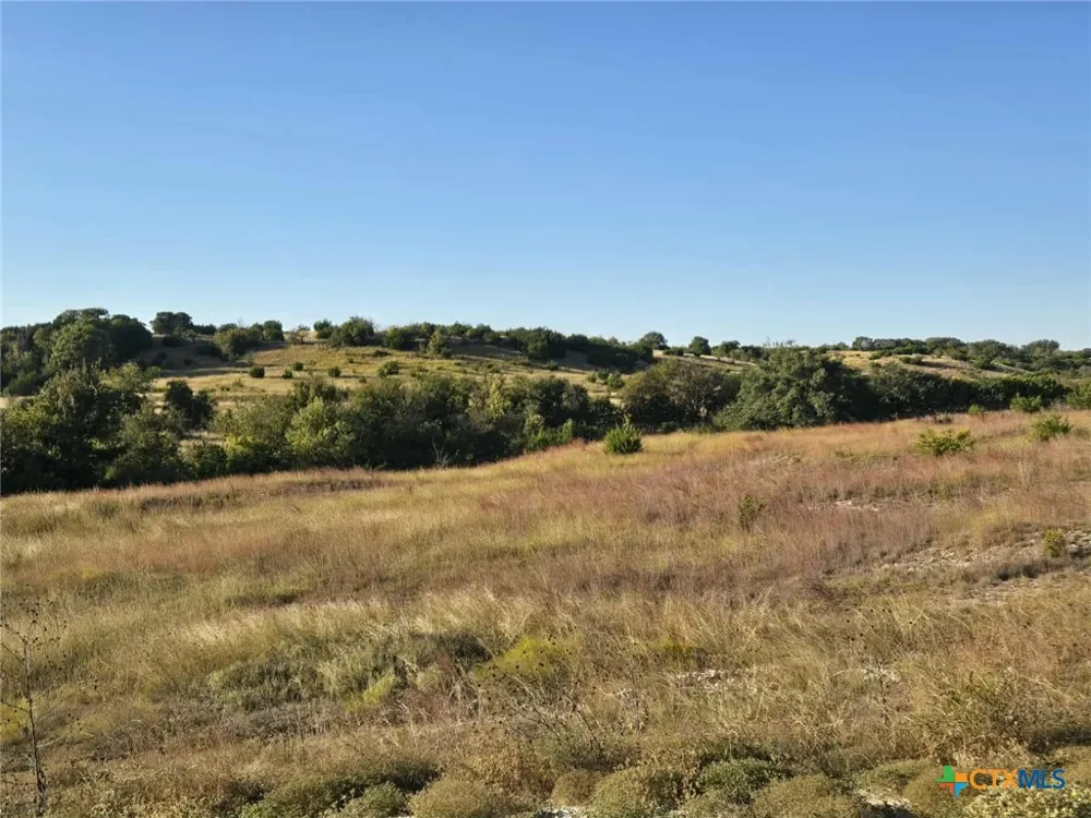 229 Grand Canyon Drive Oglesby, TX 76561