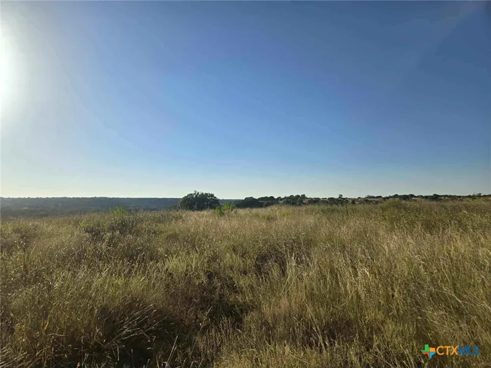 229 Grand Canyon Drive Oglesby, TX 76561