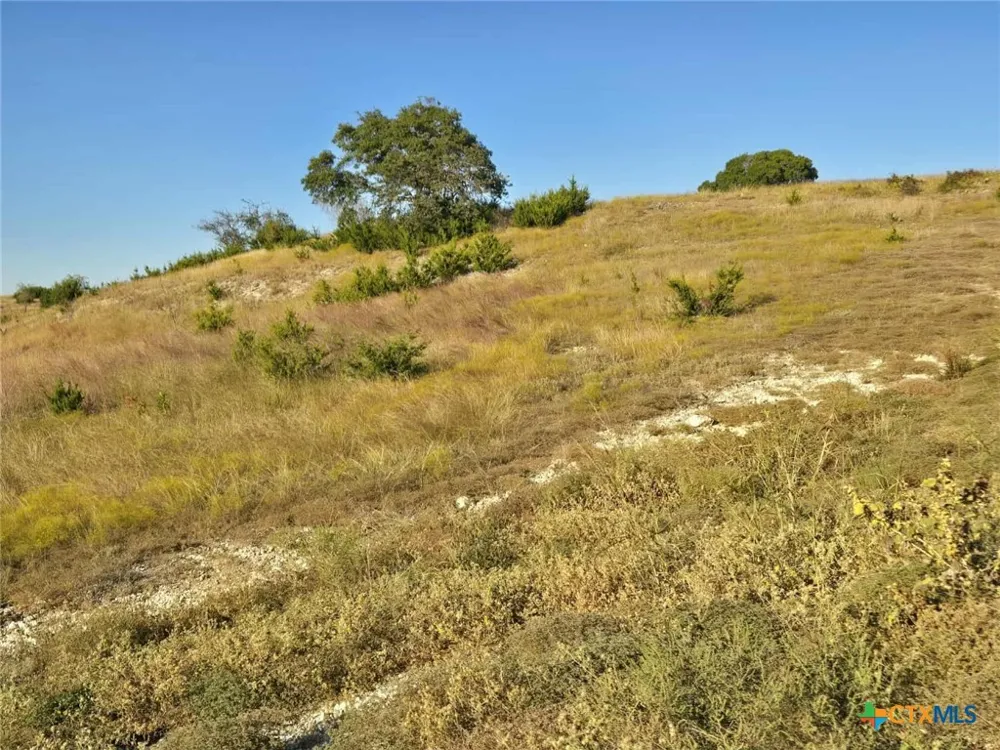 229 Grand Canyon Drive Oglesby, TX 76561