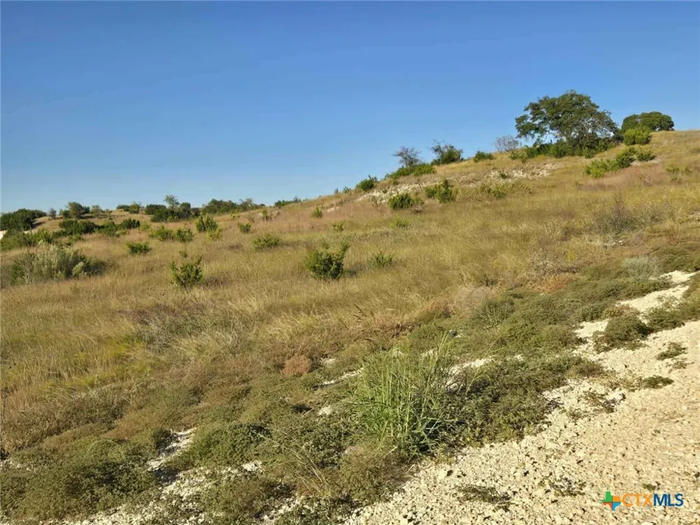 229 Grand Canyon Drive Oglesby, TX 76561