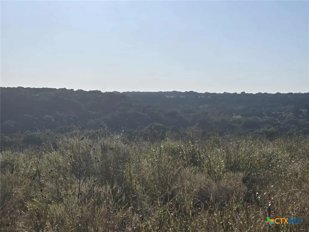 229 Grand Canyon Drive Oglesby, TX 76561