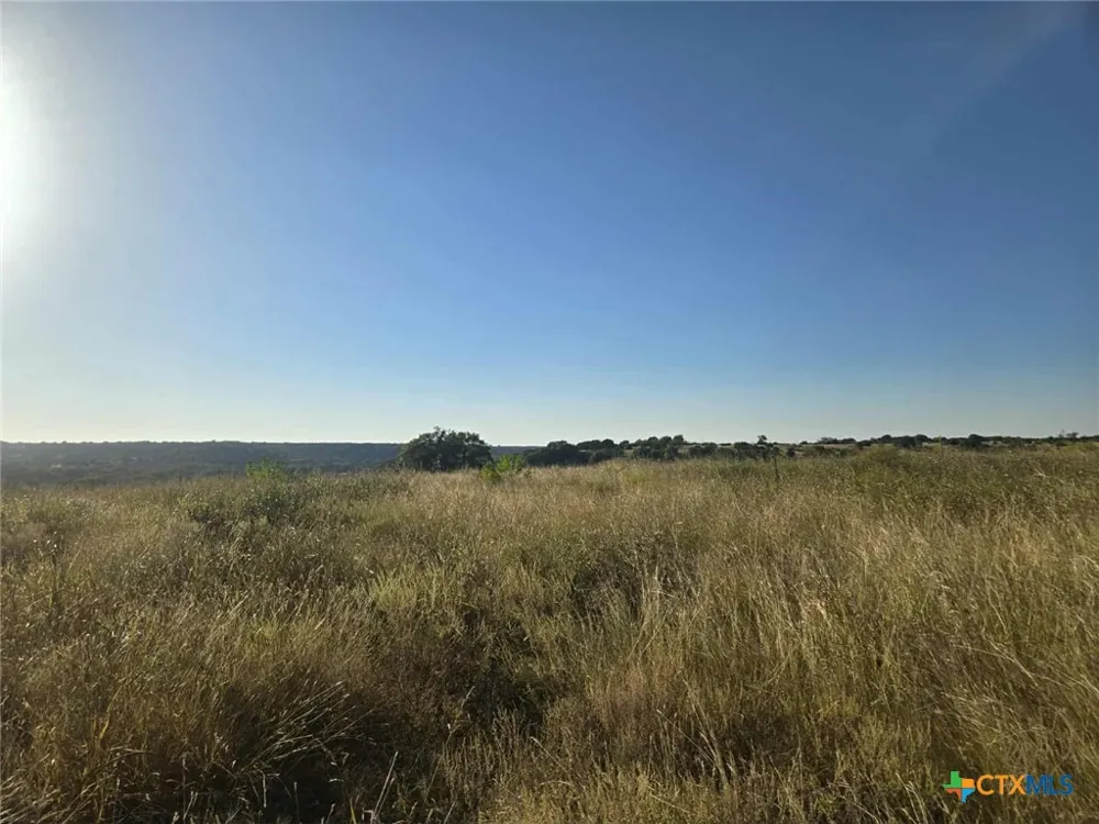 229 Grand Canyon Drive Oglesby, TX 76561