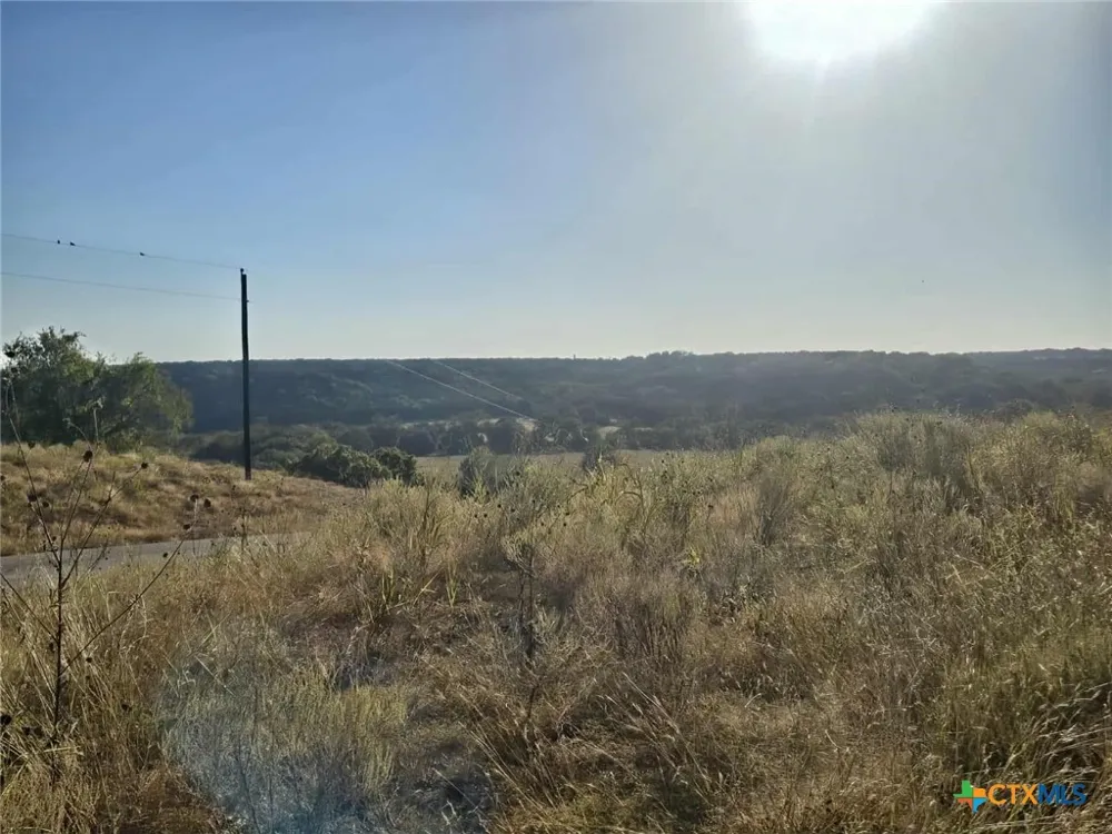 229 Grand Canyon Drive Oglesby, TX 76561
