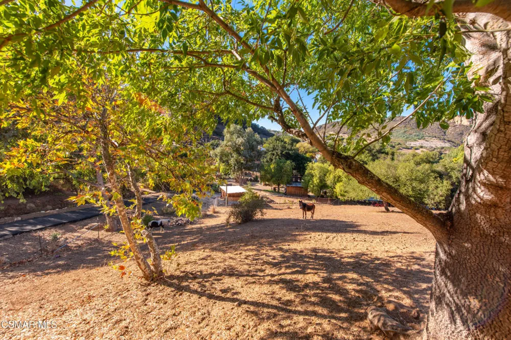 356 E Carlisle Road Thousand Oaks, CA 91361
