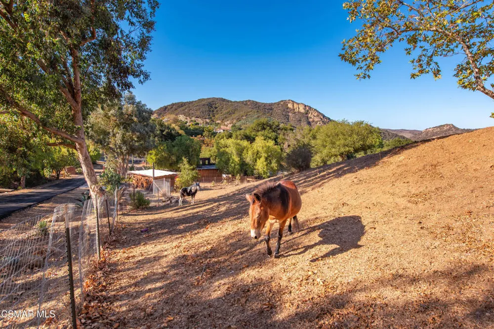 356 E Carlisle Road Thousand Oaks, CA 91361
