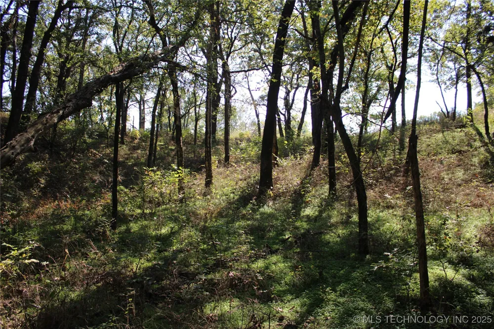 24901 EW 280 ROAD Chelsea, OK 74016